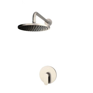 Concealed Shower Mixer